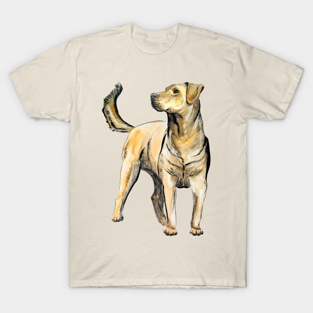 Labrador T-Shirt by VicaVeresk